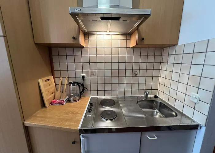 4496d * 奥瑞比克